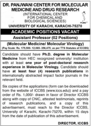 Assistant Professor Positions at Dr. Panjwani Center for Molecular Medicine, University of Karachi 2025