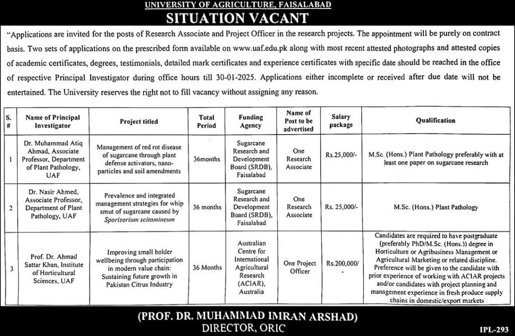 Research Associate and Project Officer Vacancies at University of Agriculture Faisalabad (UAF) 2025