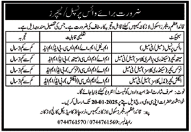 Vice Principal and Teacher Vacancies at Quaid-e-Azam Rina Mirza School Larkana 2025