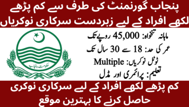 Latest Govt Jobs 2026 For Naib Qasid Middle Pass Students