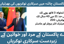 Ministry of Planning CPEC Jobs 2026 | Apply Online at PIDE