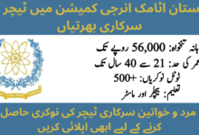 مرد و خواتین سرکاری ٹیچر کی نوکری حاصل کرنے کے لیے ابھی اپلائی کریں