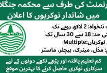 Punjab Forest Department GIS And Technical Jobs January 2026