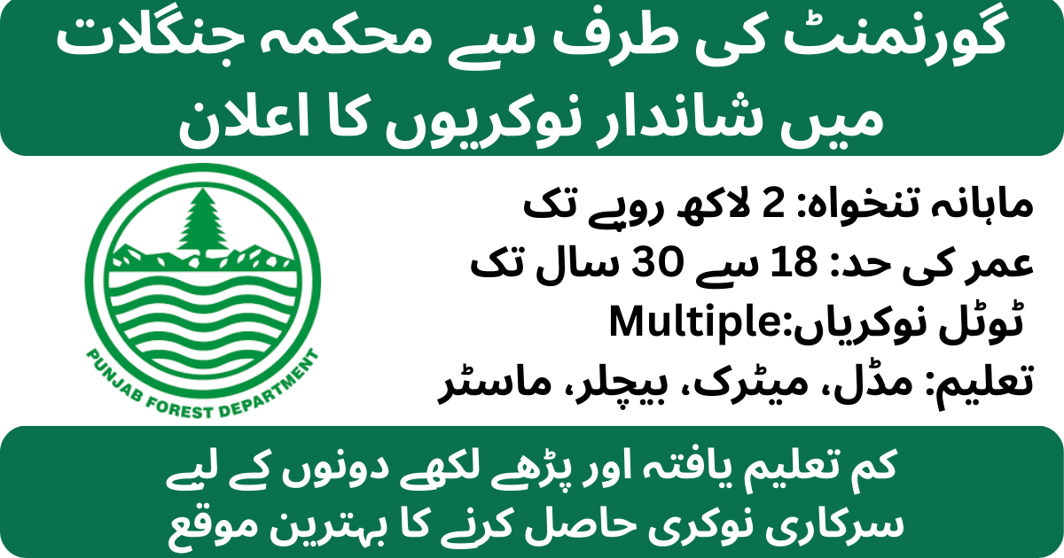 Punjab Forest Department GIS And Technical Jobs January 2026