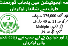 Punjab Higher Education Commission PHEC Jobs 2026 Online Apply