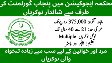 Punjab Higher Education Commission PHEC Jobs 2026 Online Apply
