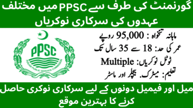 Punjab PPSC Jobs 2026 – Multiple BS-16 to BS-20 Posts Announced