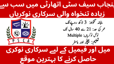 Punjab Safe Cities Authority Jobs 2026 – Apply Online for PSCA Lahore Vacancies