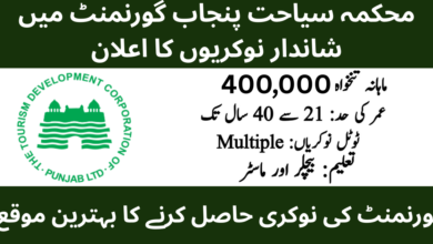 TDCP Tourism Development Corporation Punjab Jobs 2026 Latest