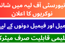 University of Layyah Jobs 2026 For Assistant Security Guard And Other Staff latest