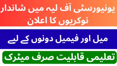 University of Layyah Jobs 2026 For Assistant Security Guard And Other Staff latest