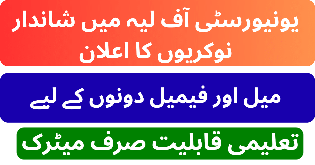 University of Layyah Jobs 2026 For Assistant Security Guard And Other Staff latest