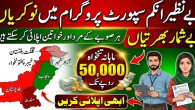 Benazir Income Support Programme BISP Jobs 2026 Apply Now