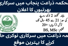 Government of Punjab Agriculture Department Jobs 2026