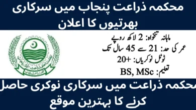 Government of Punjab Agriculture Department Jobs 2026