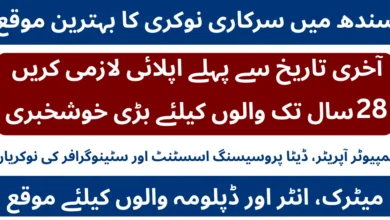 Government of Sindh Announces New Irrigation Department Jobs 2026 Latest