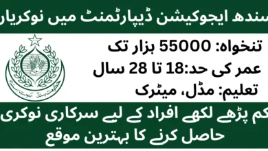 Government-of-Sindh-Education-Literacy-Department-Jobs-2026-For-Assistant-Clerk-And-Other-Staff