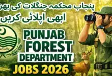 Latest Forest Department Punjab Jobs 2026 Apply Now