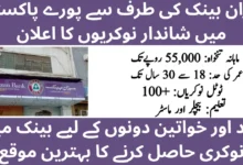 Meezan Bank BDO Jobs 2026 Across Pakistan