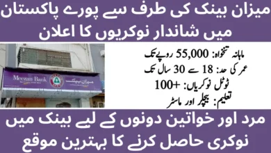 Meezan Bank BDO Jobs 2026 Across Pakistan