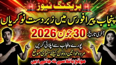 PERA Jobs 2026 in Punjab Apply Now