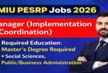 Programme Monitoring & Implementation Unit Punjab Jobs 2026