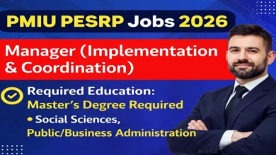 Programme Monitoring & Implementation Unit Punjab Jobs 2026