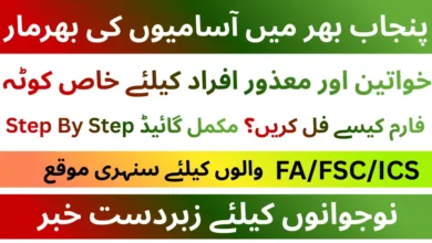 Punjab Information Technology Board Jobs 2026 For Junior Computer Operator