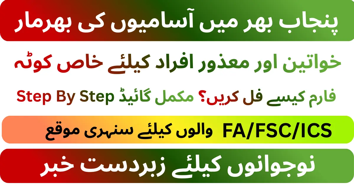 Punjab Information Technology Board Jobs 2026 For Junior Computer Operator