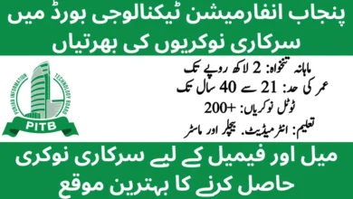 Punjab Information Technology Board PITB Jobs 2026 Online Apply