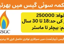 Sui Southern Gas Company Limited Jobs 2025 Apply Online