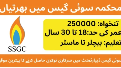 Sui Southern Gas Company Limited Jobs 2025 Apply Online