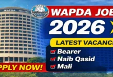 WAPDA Jobs 2026 in Lahore – Latest HR Division Vacancies