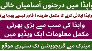 Water and Power Development Authority WAPDA Jobs 2026