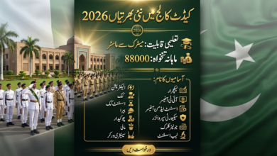 Cadet College Jobs 2026 For Lecturer, Clerk, Cook And Other Staff