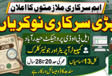 Computer Operator and Junior Clerk Vacancies in Sindh 2026 LBOD Project Hyderabad