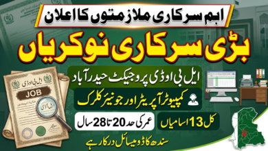 Computer Operator and Junior Clerk Vacancies in Sindh 2026 LBOD Project Hyderabad