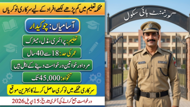 Elementary & Secondary Education Department Jobs 2026 For Chowkidar BPS-03