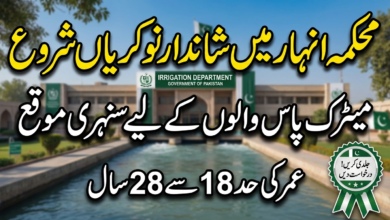 Irrigation Department Tubewells Division Sindh Jobs 2026