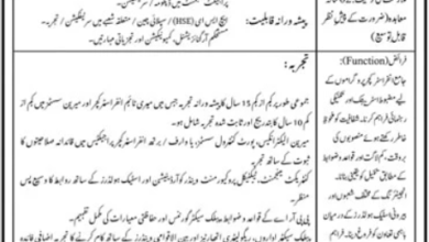 Port Qasim Authority Management Jobs 2026