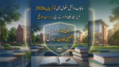 Punjab Daanish School Jobs 2026 for Non-Academic Staff