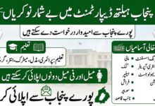 Punjab Health Department Jobs 2026 For Data Entry Operator, Naib Qasid And Other Staff
