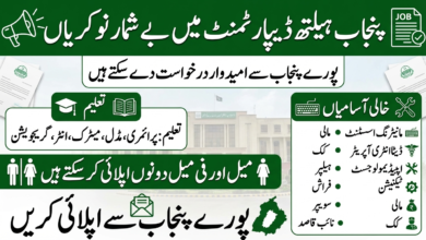 Punjab Health Department Jobs 2026 For Data Entry Operator, Naib Qasid And Other Staff