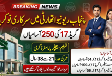 Punjab Revenue Authority PRA Jobs 2026 For Male And Females