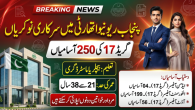 Punjab Revenue Authority PRA Jobs 2026 For Male And Females