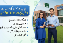 School Teacher Interns (STIS) Punjab Jobs 2026 For Male And Female