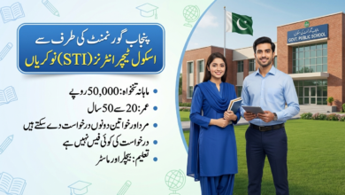 School Teacher Interns (STIS) Punjab Jobs 2026 For Male And Female