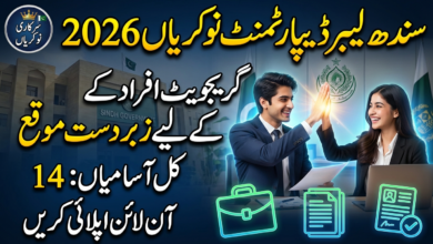 Sindh Minimum Wages Board Jobs 2026 Labour Department For Clerk And Other Staff