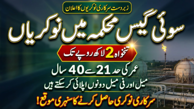 Sui Southern Gas Company Limited Jobs 2026