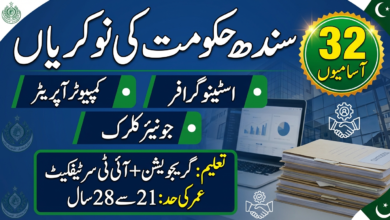 Women Development Department Sindh Jobs 2026 For Stenographer, Clerk And Other Staff